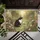 Tuxedo Cat Mouse Cottage Garden - Home Decor Gift for Cat Lover Doormat - 6