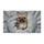 duiyfppz/products/6a46668a1e29dc06c15e5c24/gallery/pChff1-EBZ
