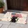 duiyfppz/products/6a4667fe32d2089a3183d3dc/gallery/czaAh4uimM