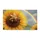duiyfppz/products/6a46702a7cd2e3ebc98aecc6/gallery/JWkLWr1032