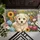 duiyfppz/products/6a46706e32d208eec883dd3f/gallery/F03oOMSxgY