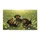 duiyfppz/products/6a46709b37ae1326d38c897b/gallery/SSQL9sJ2h2