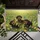duiyfppz/products/6a46709b37ae1326d38c897b/gallery/fH1ekwZNlH