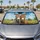 duiyfppz/products/6a4725917cd2e3adba8b3f5d/gallery/g1BdXM5K6a