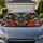 duiyfppz/products/6a47264137ae13094c8cda71/gallery/9sl37WkkOo