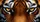 duiyfppz/products/6a4731c14ecd750f9408085b/gallery/PaDdouYRy-