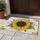 duiyfppz/products/6a4737626e4e0d5c0d83598a/gallery/mvfWprdoy3