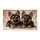 duiyfppz/products/6a473b64d7a78601003bd3a6/gallery/CiSNjpfftC