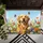 duiyfppz/products/6a4759ac6e4e0df5fc83870b/gallery/Z0DY203KSu