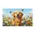 duiyfppz/products/6a4759ac6e4e0df5fc83870b/gallery/e7HRV-nT3n