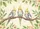 Cockatiel Birds Green Leaves Yellow Blossoms Hearts - Bird Lover Home Decor Gift Doormat - 7