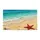 Tropical Beach Seashell Starfish Ocean Waves - Coastal Home Decor Gift Doormat - 3