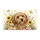 Shaggy Light Brown Dog Wildflowers Butterflies - Home Decor Gift for Dog Lovers Doormat - 3