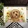 Shaggy Light Brown Dog Wildflowers Butterflies - Home Decor Gift for Dog Lovers Doormat - 6
