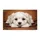 Fluffy White Puppy Head on Paws Pine Sprigs Berries - Cozy Home Decor Gift for Dog Lover Doormat - 3