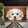 Fluffy White Puppy Head on Paws Pine Sprigs Berries - Cozy Home Decor Gift for Dog Lover Doormat - 6