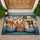 Dogs and Cats on Ornate Velvet Sofa with Treats - Home Decor Gift for Pet Lovers Doormat - 1