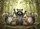 Waving Squirrel Chipmunk Raccoon Woodland Animals - Everyday Wildlife Lover Home Decor Gift Doormat - 7