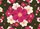 Large Rounded Five-Petal Floral Pink White Peach Blooms Olive Green Field - Everyday Home Accent Doormat - 7