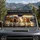 Galloping Horse Herd In Sunset Mountains Western Wilderness Decor For Equine Lovers Car Sunshade - 2