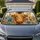 Highland Cow With Wildflowers Rustic Farmhouse Summer Road Trip Decor For Cow Lovers Car Sunshade - 1