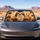Cute Sloth Holding Ready For Coffee Mug For Cozy Morning Commutes And Coffee Lovers Car Sunshade - 2