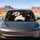 Sleepy Sweaty Panda With Bamboo Leaves For Fun Road Trip Decor And Animal Lovers Car Sunshade - 3