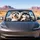 Funny Husky Dogs In Snowy Winter Cabin For Road Trip Dog Lovers And Pet Owners Gift Car Sunshade - 4
