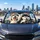 Funny Husky Dogs In Snowy Winter Cabin For Road Trip Dog Lovers And Pet Owners Gift Car Sunshade - 5