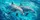 Realistic Dolphins In Turquoise Ocean Waves For Tropical Beach Lovers And Marine Fans Car Sunshade - 6