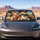 Road Trip Chihuahua Duo With Red Bandana And Sunglasses For Dog Lover Adventures Car Sunshade - 2