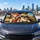 Road Trip Chihuahua Duo With Red Bandana And Sunglasses For Dog Lover Adventures Car Sunshade - 5