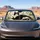 Tuxedo Cat On Sunny Windowsill With Houseplants For Cozy Summer Driving Decor Gift Car Sunshade - 4
