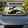 Tuxedo Cat On Sunny Windowsill With Houseplants For Cozy Summer Driving Decor Gift Car Sunshade - 1