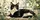 Tuxedo Cat On Sunny Windowsill With Houseplants For Cozy Summer Driving Decor Gift Car Sunshade - 6