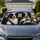 Realistic Border Collie Road Trip Duo For Dog Lovers And Daily Commuter Travel Fun Car Sunshade - 1