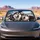 Cute Siberian Husky Dogs In Cozy Winter Road Trip Scene For Dog Lovers And Travelers Car Sunshade - 2