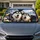 Cute Siberian Husky Dogs In Cozy Winter Road Trip Scene For Dog Lovers And Travelers Car Sunshade - 1