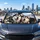 Cute Siberian Husky Dogs In Cozy Winter Road Trip Scene For Dog Lovers And Travelers Car Sunshade - 5