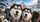 Cute Siberian Husky Dogs In Cozy Winter Road Trip Scene For Dog Lovers And Travelers Car Sunshade - 6