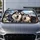 Cute Siberian Husky Dogs In Cozy Winter Road Trip Scene For Dog Lovers And Travelers Car Sunshade - 4