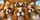 Five Cavalier King Charles Spaniels In Cozy Road Trip Cabin Scene For Dog Lovers Car Sunshade - 6