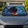 Black Panther Storm Beast With Aurora Lightning For Dark Fantasy Road Trip Style Car Sunshade - 1