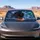 Black Panther Storm Beast With Aurora Lightning For Dark Fantasy Road Trip Style Car Sunshade - 4
