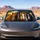 Realistic Four Horse Portraits With Park Greenery For Equestrian Road Trip Style Car Sunshade - 5