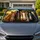 Realistic Four Horse Portraits With Park Greenery For Equestrian Road Trip Style Car Sunshade - 1
