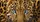 Icy Blue Leopard Eyes And Golden Spotted Fur For Wild Safari Style Daily Commuters Car Sunshade - 6
