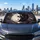 Yin Yang Twin Birds With Charcoal Plum Feathers For Zen Travel And Boho Style Lovers Car Sunshade - 5