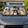 Five Australian Shepherd Dogs In Blue Sky Clouds Road Trip Gift For Aussie Lovers Car Sunshade - 1