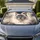 Blue Eyed Ragdoll Cat Portrait With Cream Fur For Cozy Pet Lover Daily Travel Style Car Sunshade - 1